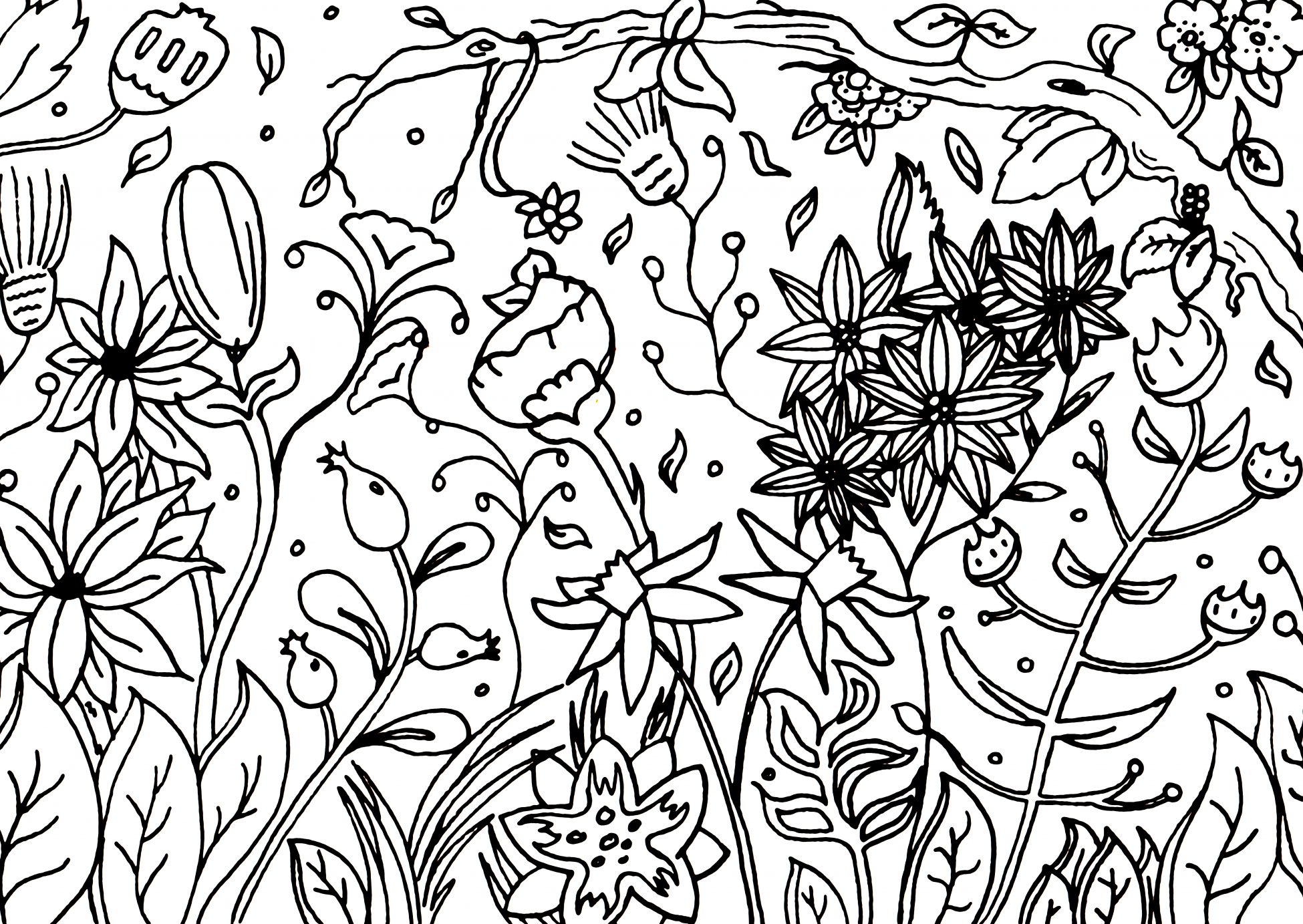 A hand illustrated postcard with black line drawings on a white background for the user to colour themselves. Various plants, flowers, vines and branches cover the page, growing closely together.