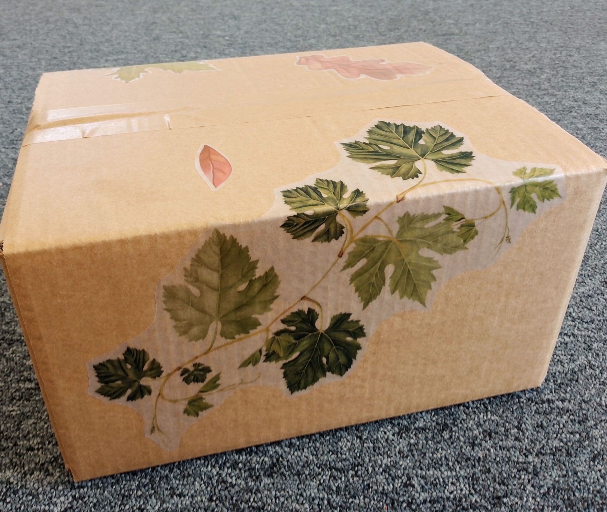 A photo of one of the Soft Fascination 'forest bathing' kits. A cardboard box adorned with leaf stickers.